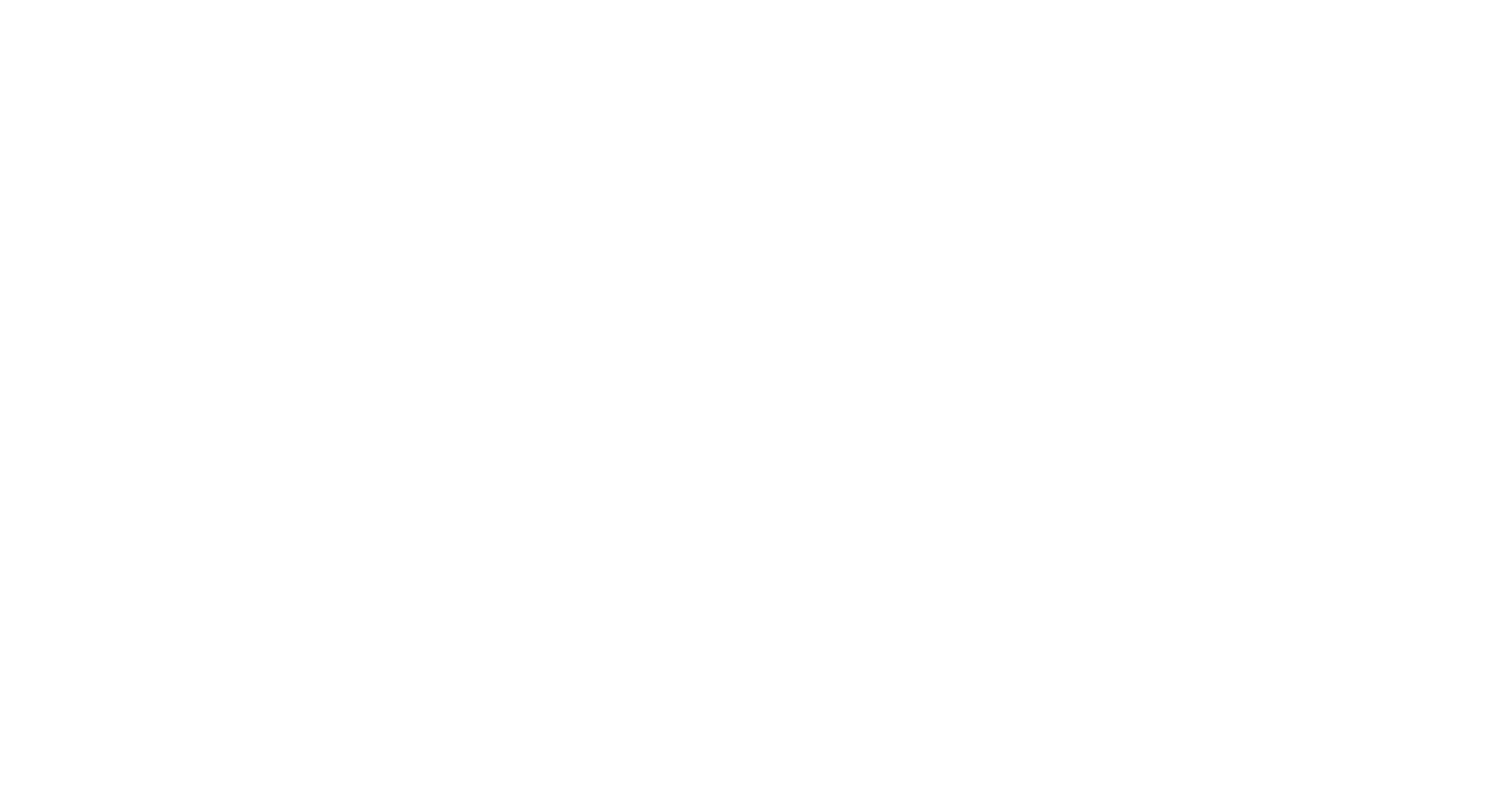 Logo Salo